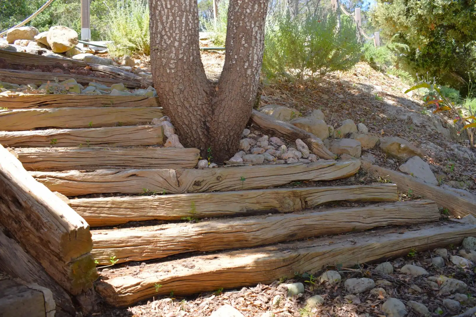 Garden of Country homes for rent in Sineu  with Air Conditioner, Private garden and Terrace