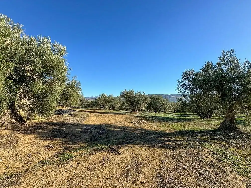 Terreny rústic en venda a CORTIJO DE MORA Y MARAÑON, imagen 12