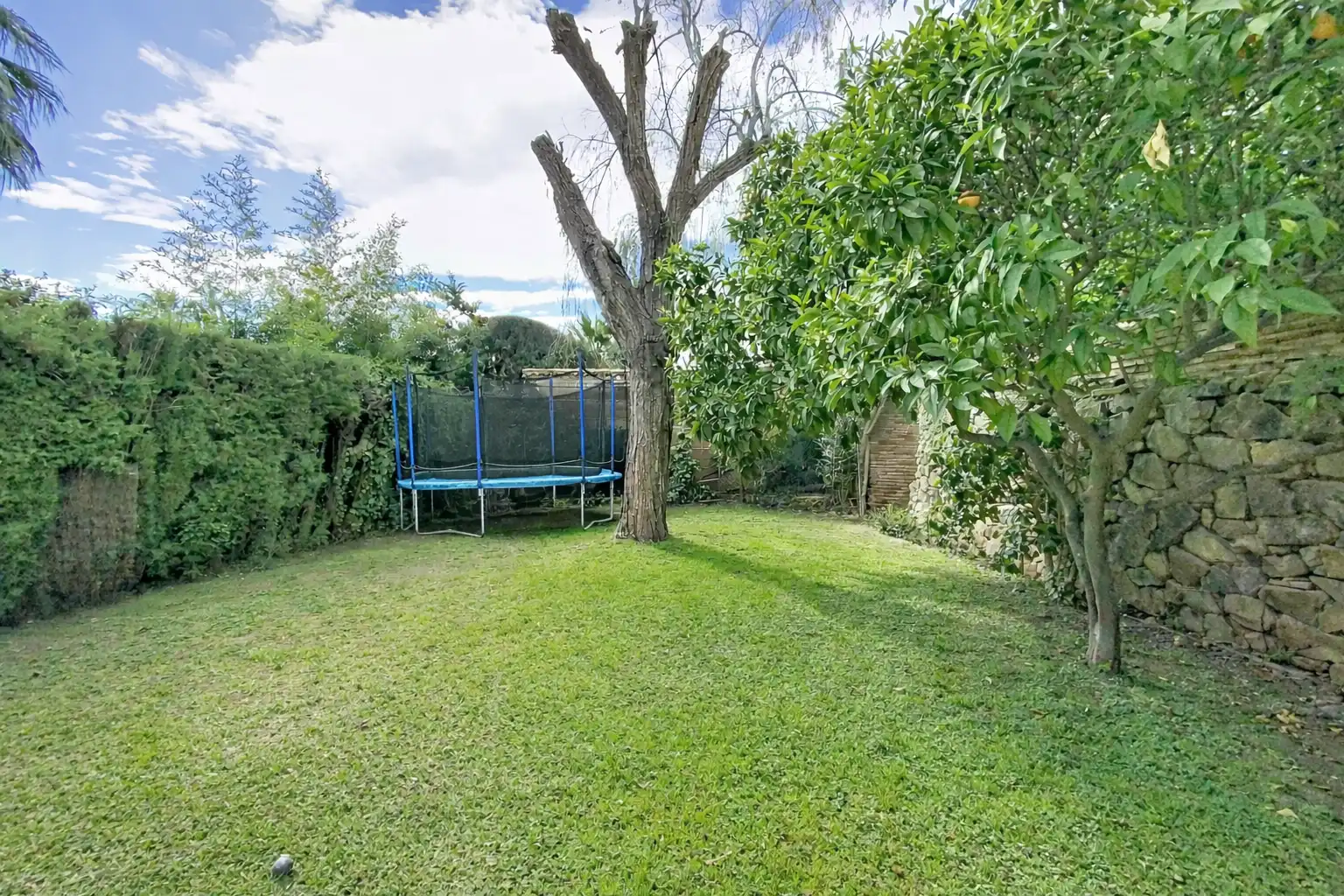 Casa amb terrassa en venda a Benamara - Atalaya, imagen 46