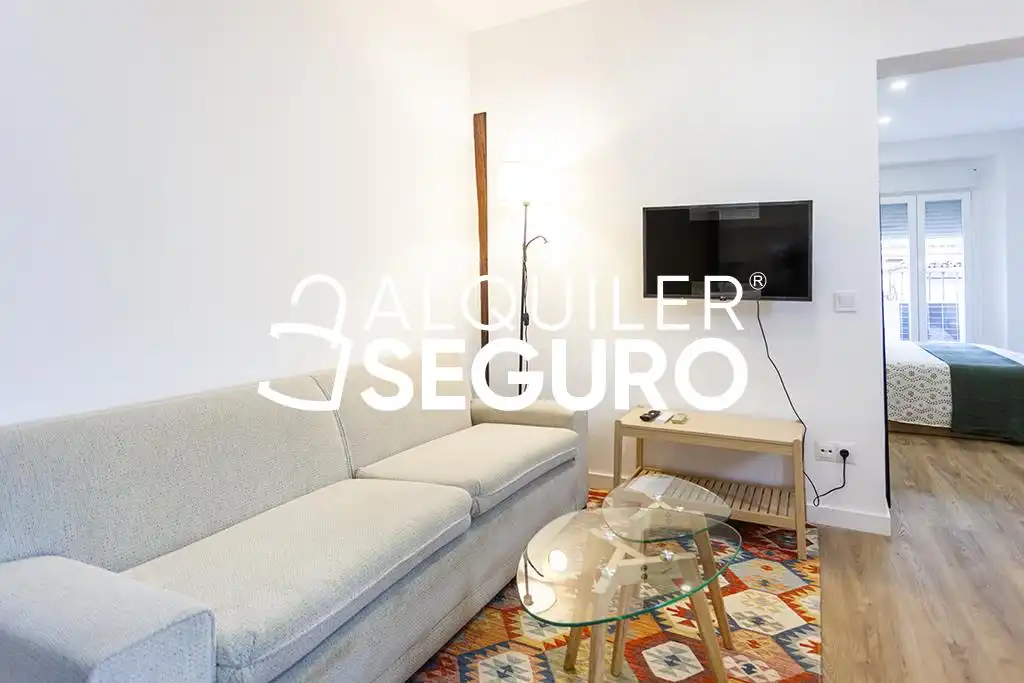 Piso con ascensor en alquiler en de Salitre, imagen 3