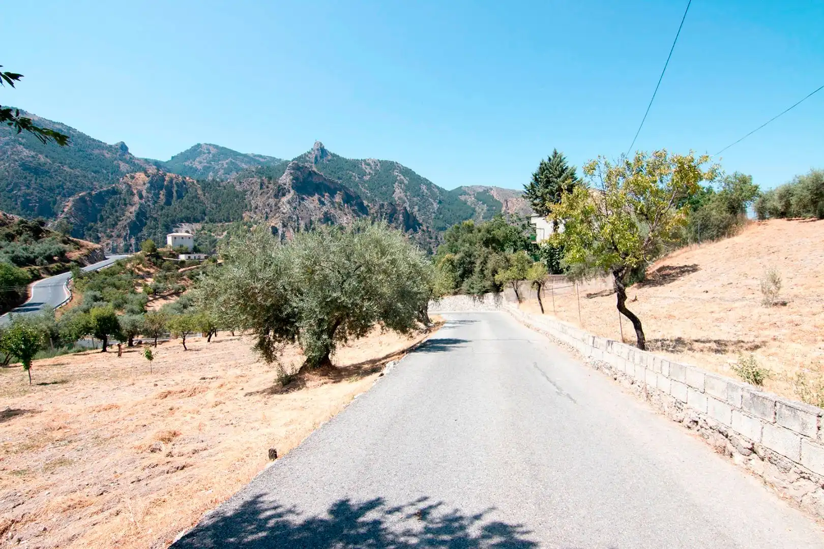 Vista exterior de Finca rústica en venta en Güéjar Sierra con Terraza, Piscina y Balcón