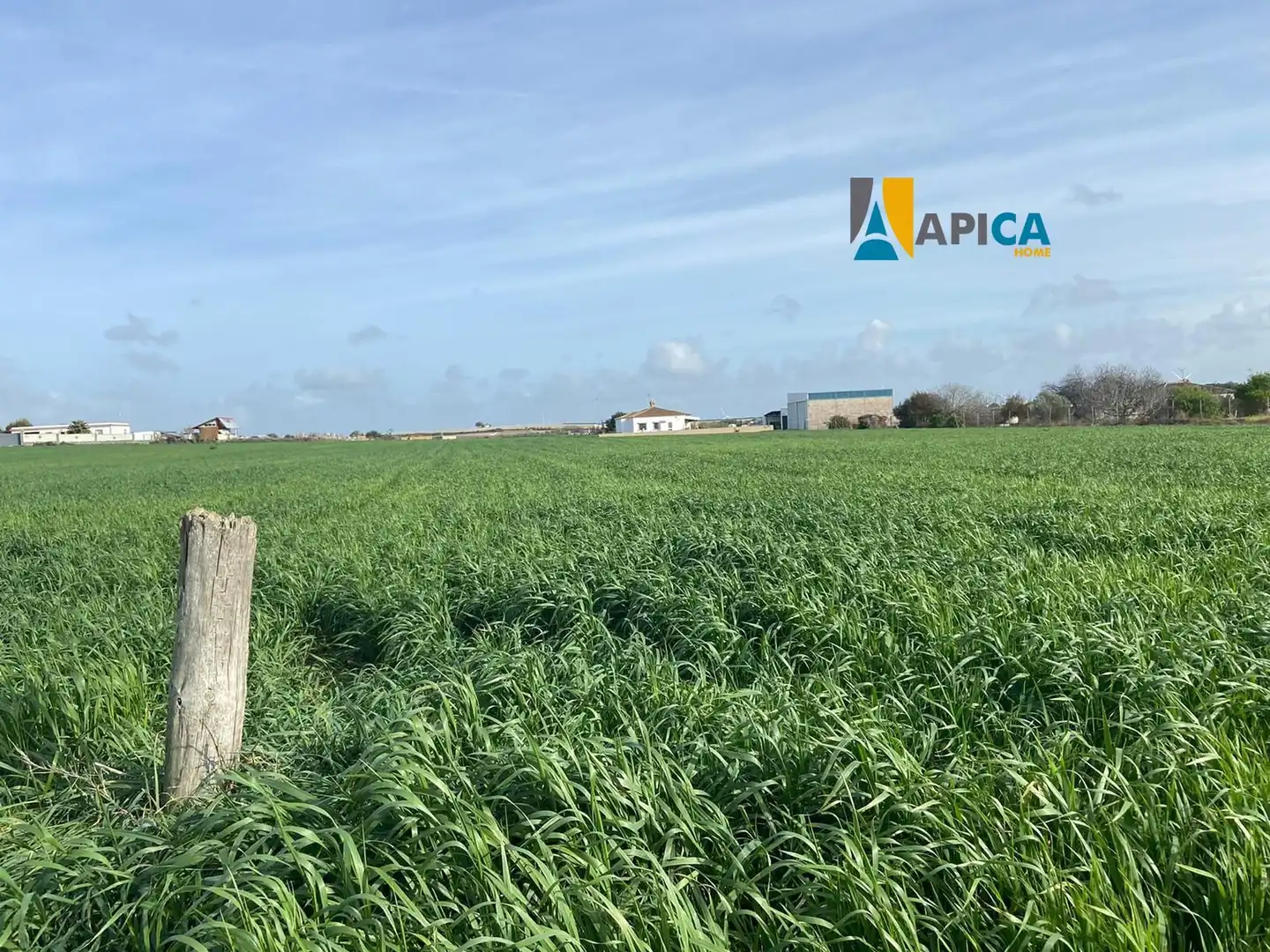 Rustikales Grundstück zum Verkauf in Los Franceses – La Vega, imagen 4