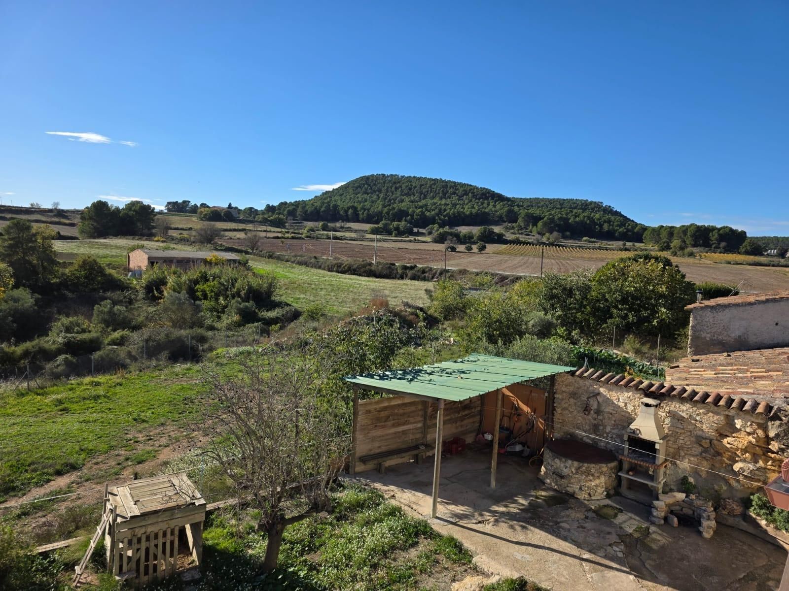 Jardí de Casa o xalet en venda en La Llacuna amb Calefacció, Jardí privat i Terrassa