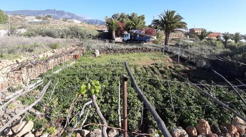 Foto 4 de Terreny en venda a Tf-245, 38, Arafo, Santa Cruz de Tenerife