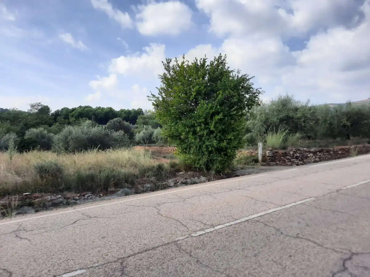 Terreno residencial en venta en Algímia de Alfara