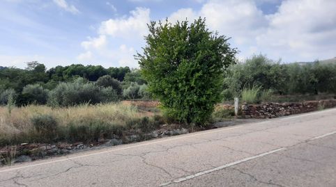 Terreno Rústico en venta en Algimia De Alfara.