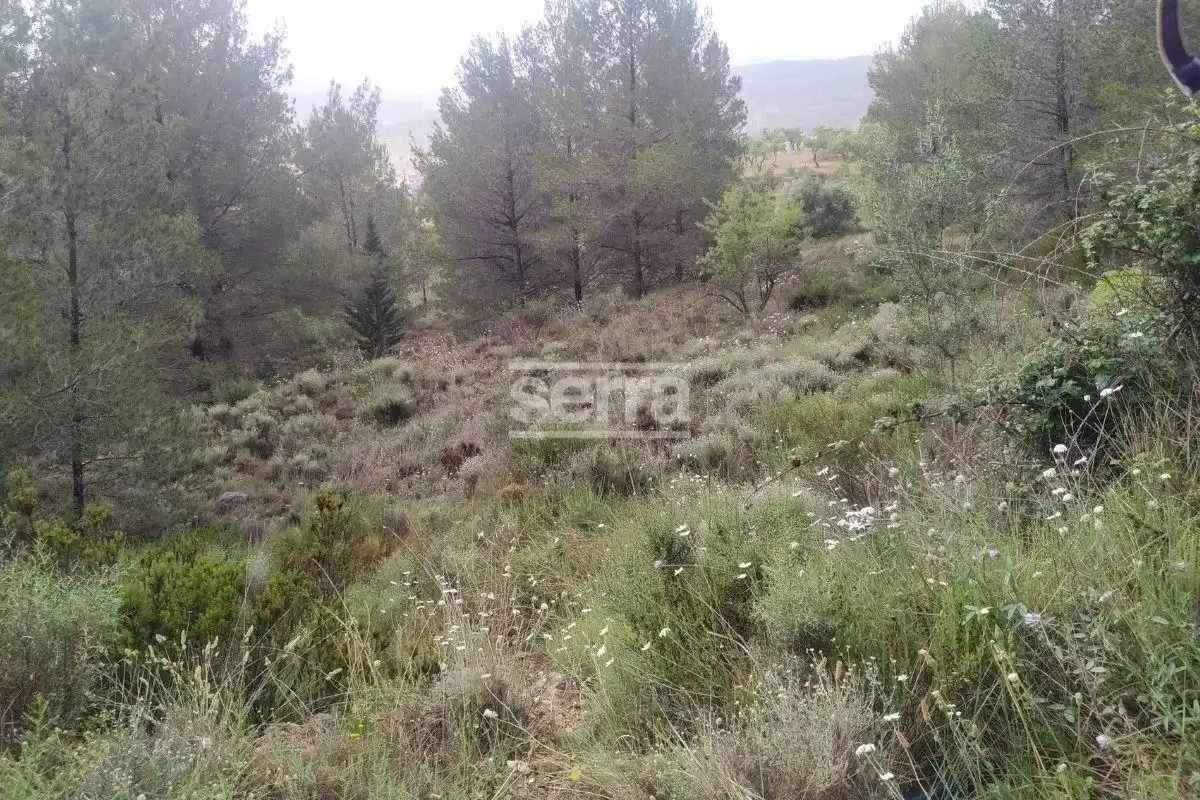 Land for sale in Torrelles de Foix