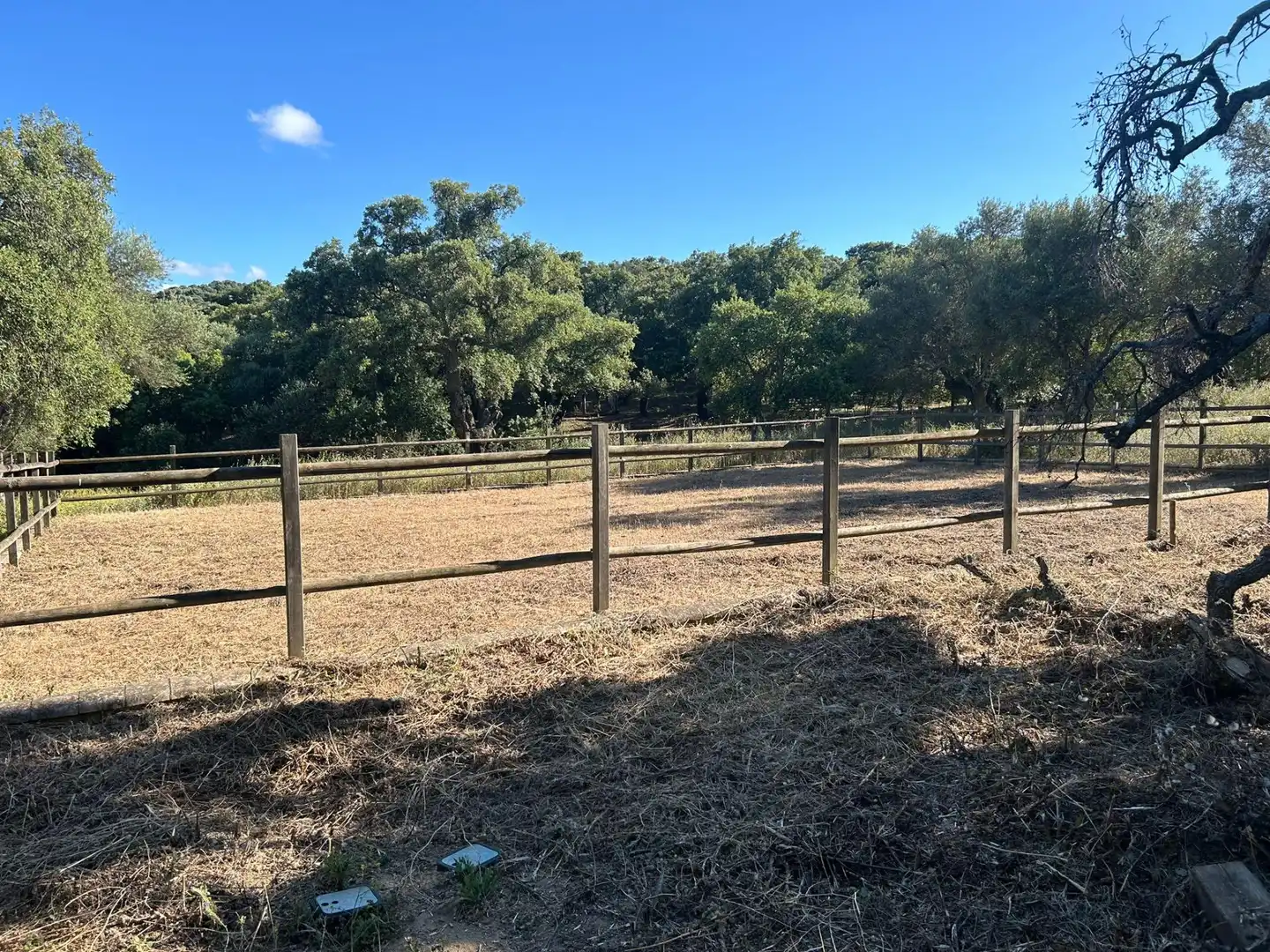 Country homes for sale in Alcalá de los Gazules  with Terrace