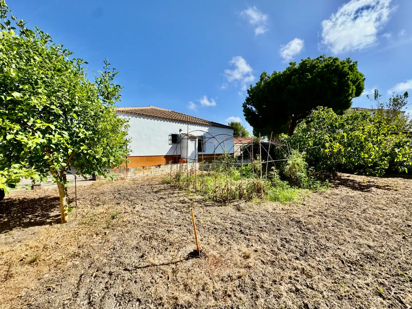 Chalet con piscina en venta en Pelagatos - Pago del Humo, imagen 18