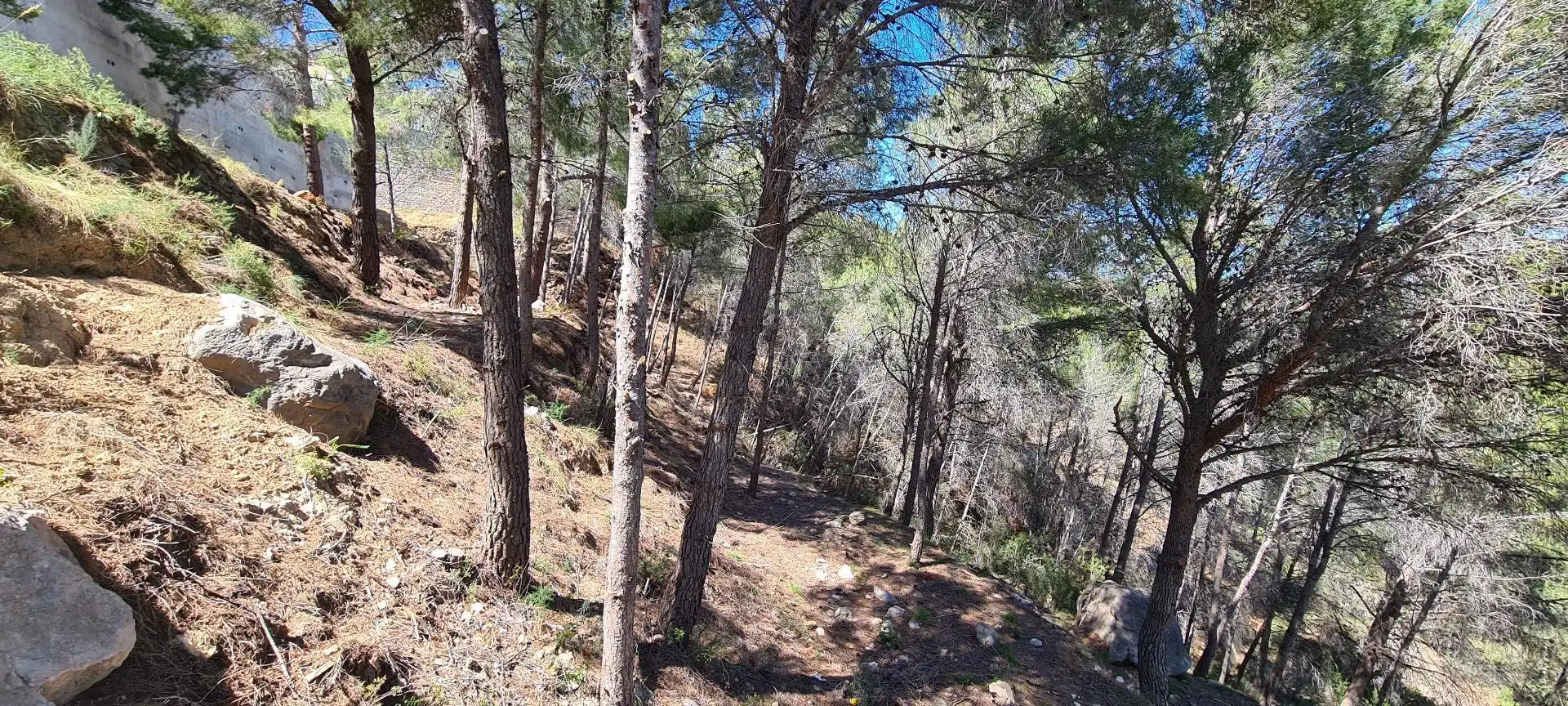 Residential land for sale in Oltamar - Cucarres, imagen 6
