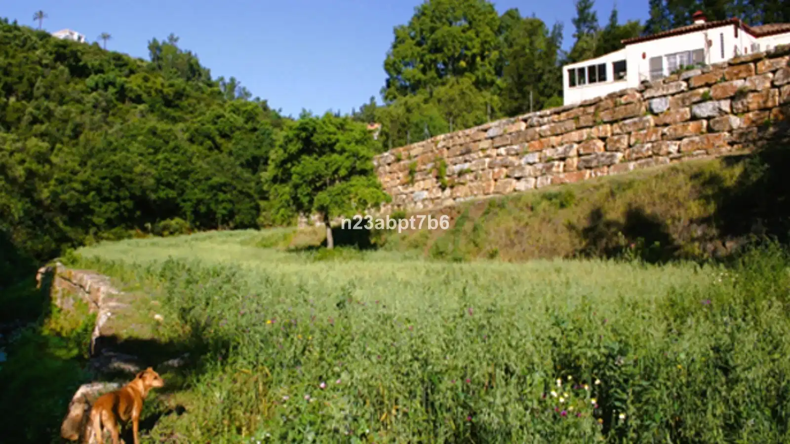 Detached house with garden for sale in Urbanizacion Puerto de los Almendros 3C, imagen 10