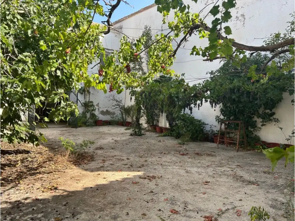 Finca rústica en venta en Altura