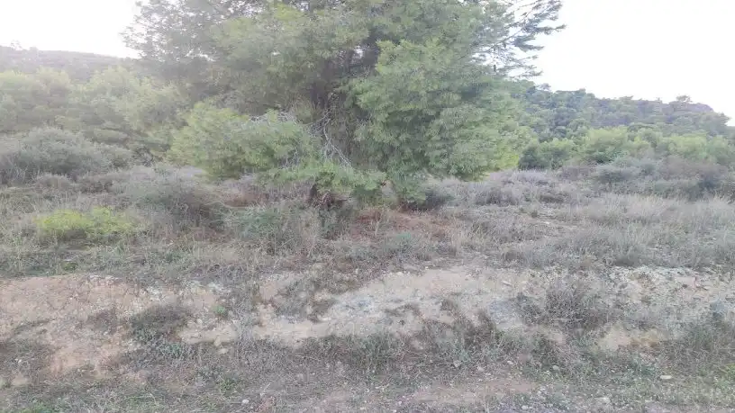 Terrenys i solars en venda a Pedanías Este, imagen 3