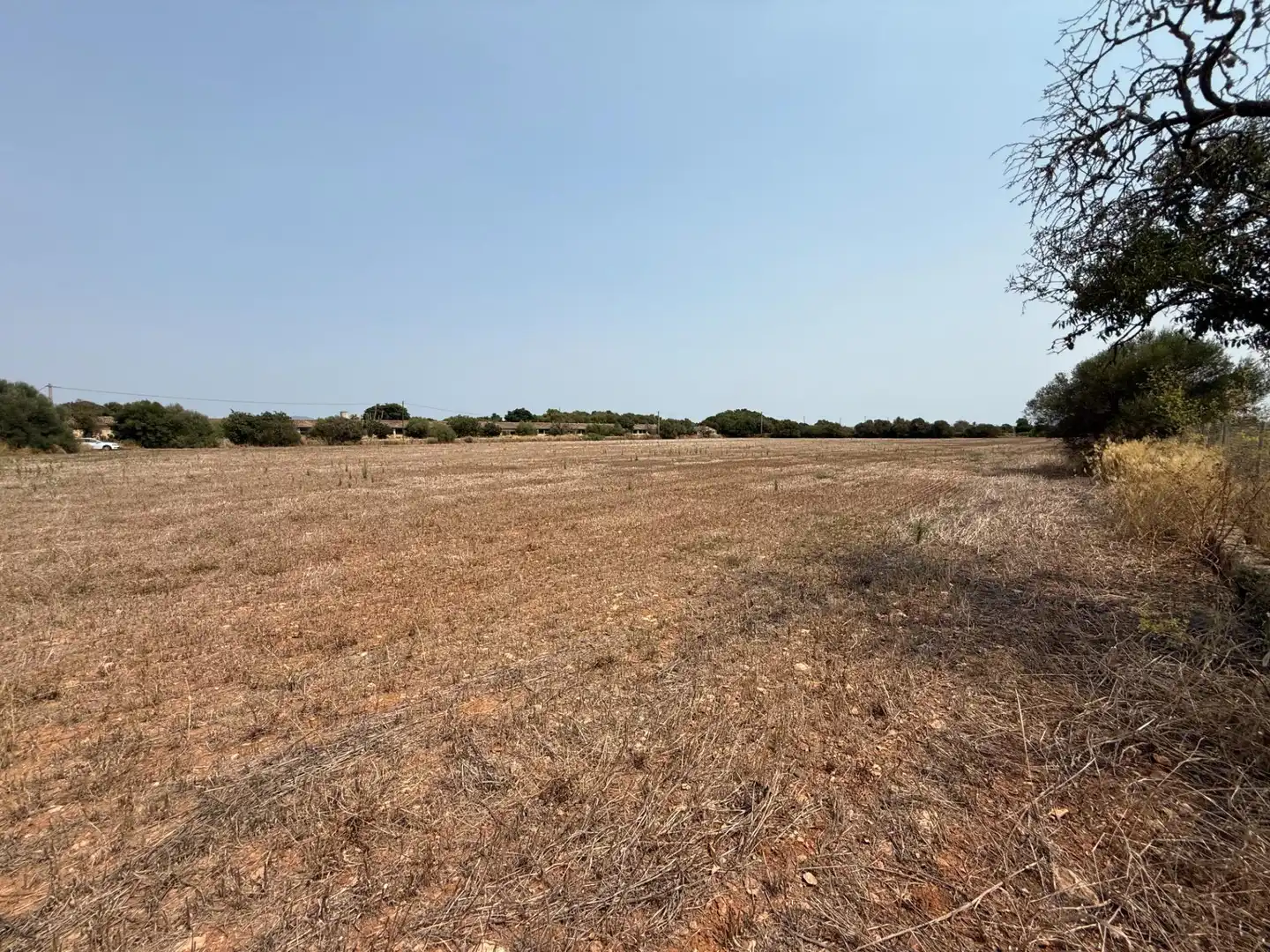 Grundstücke und Bauplätze zum Verkauf in Campos poble, imagen 4