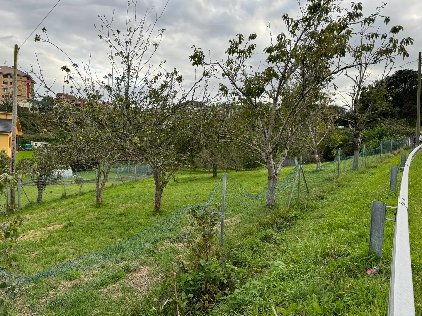 Lands and plots for sale in Lugar de La Florida 20, imagen 11