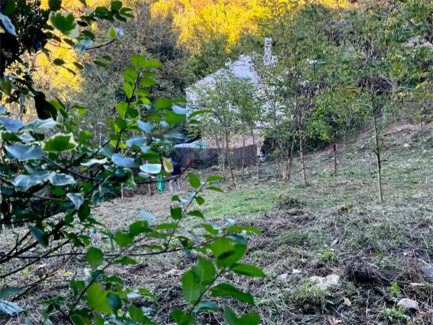 Terreno en venta en Les Planes