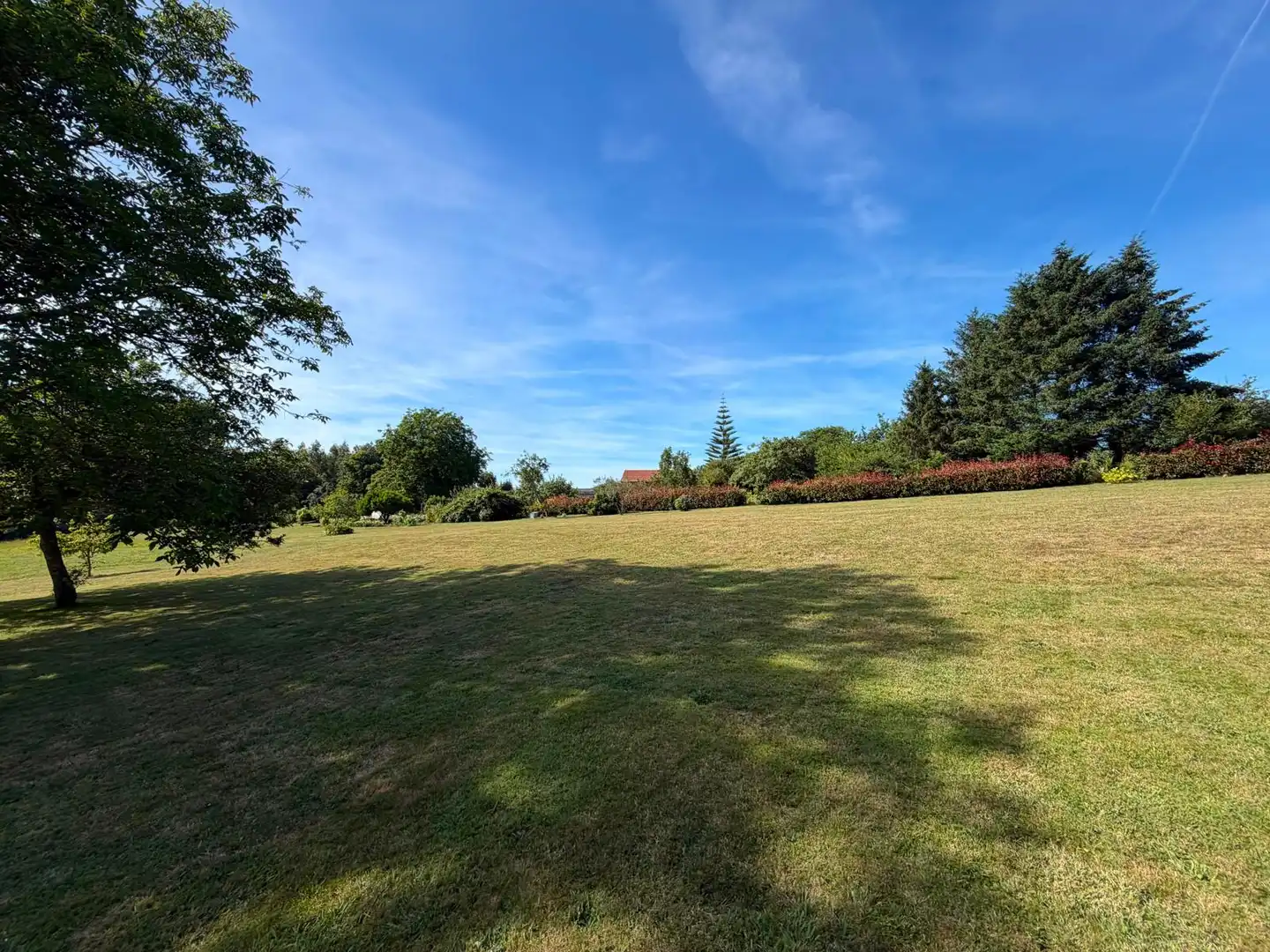 Land for sale in Fene