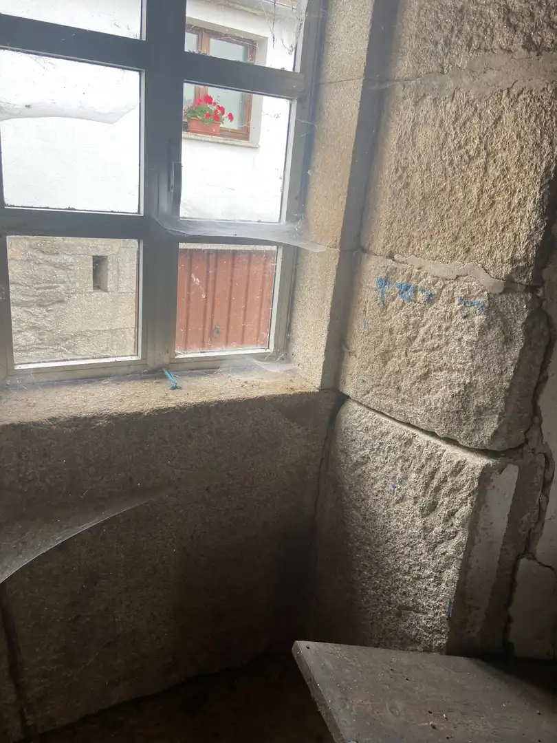 Finca rústica en venta en Rodeiro