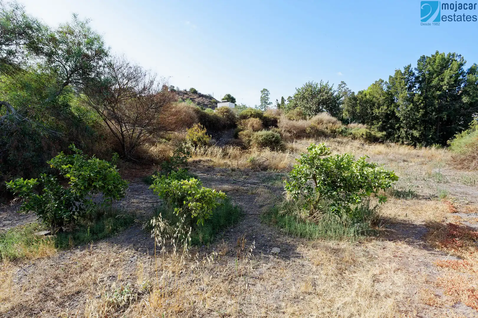 Detached house with pool for sale in Camino Huertas de Abajo 3, imagen 45