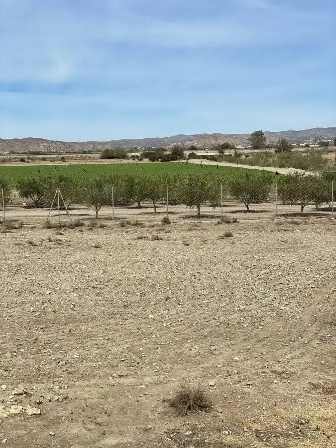 Terrain rustique à vendre à Huércal-Overa, imagen 4