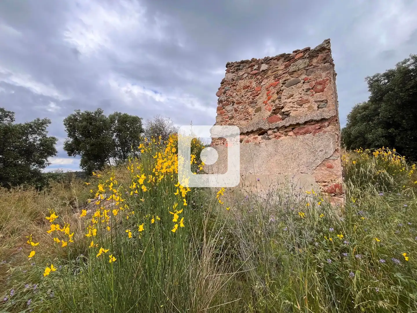 Garden of Land for sale in Sant Pere de Vilamajor