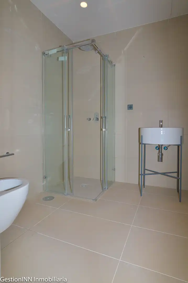 Flat with terrace to rent in Paseo de Francisco Giner, imagen 8