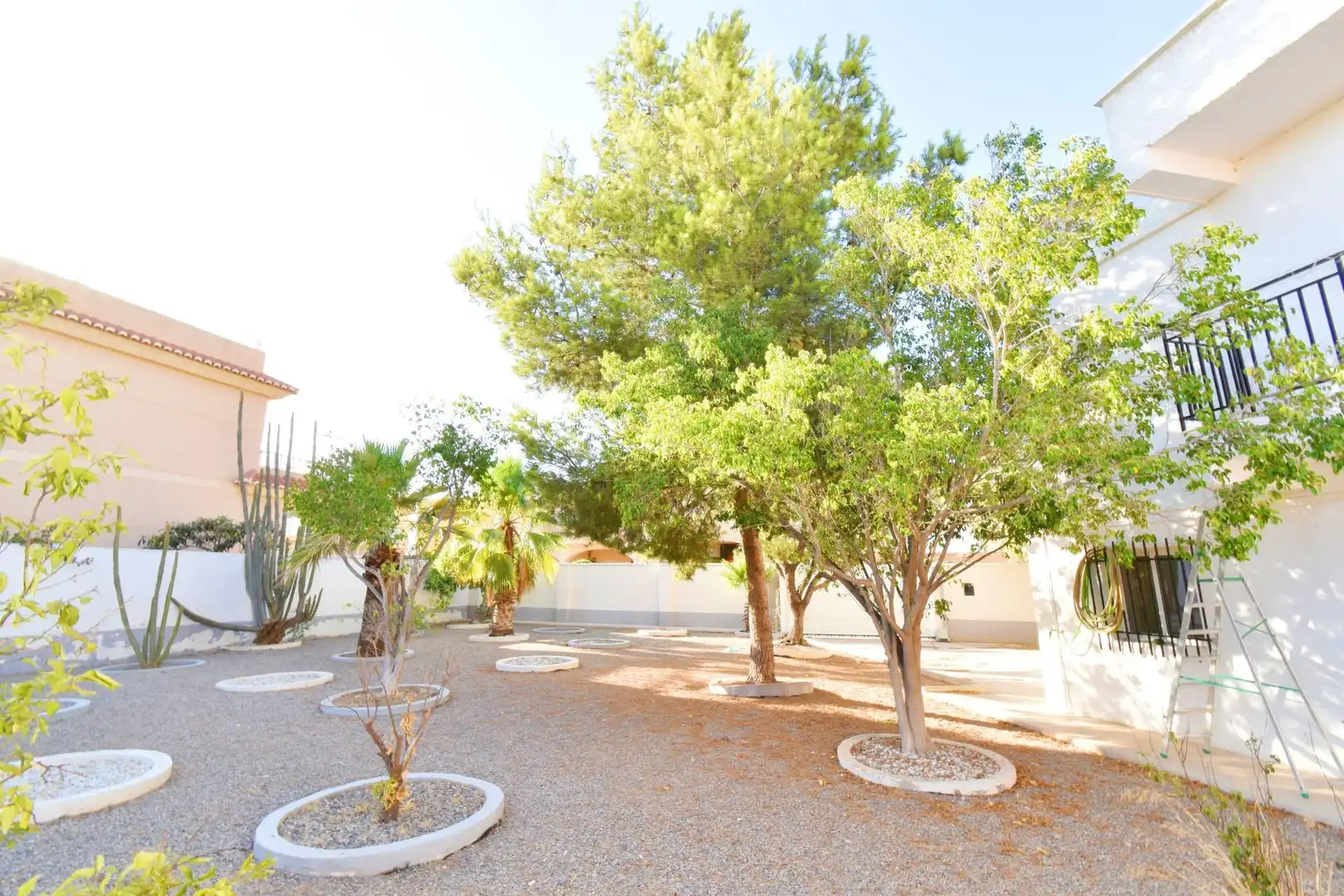Jardín de Casa o chalet en venta en El Ejido