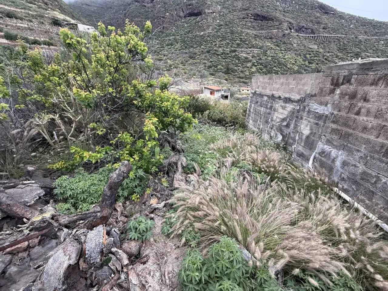 Residential land for sale in Calle Morrita, imagen 8