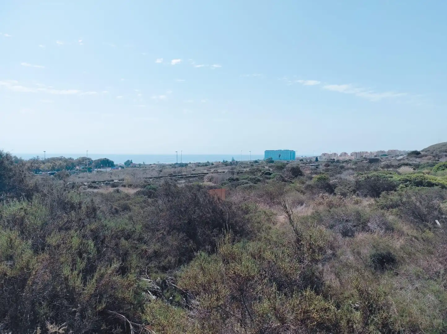 Terreno rustico in vendita a Partida los secanos
