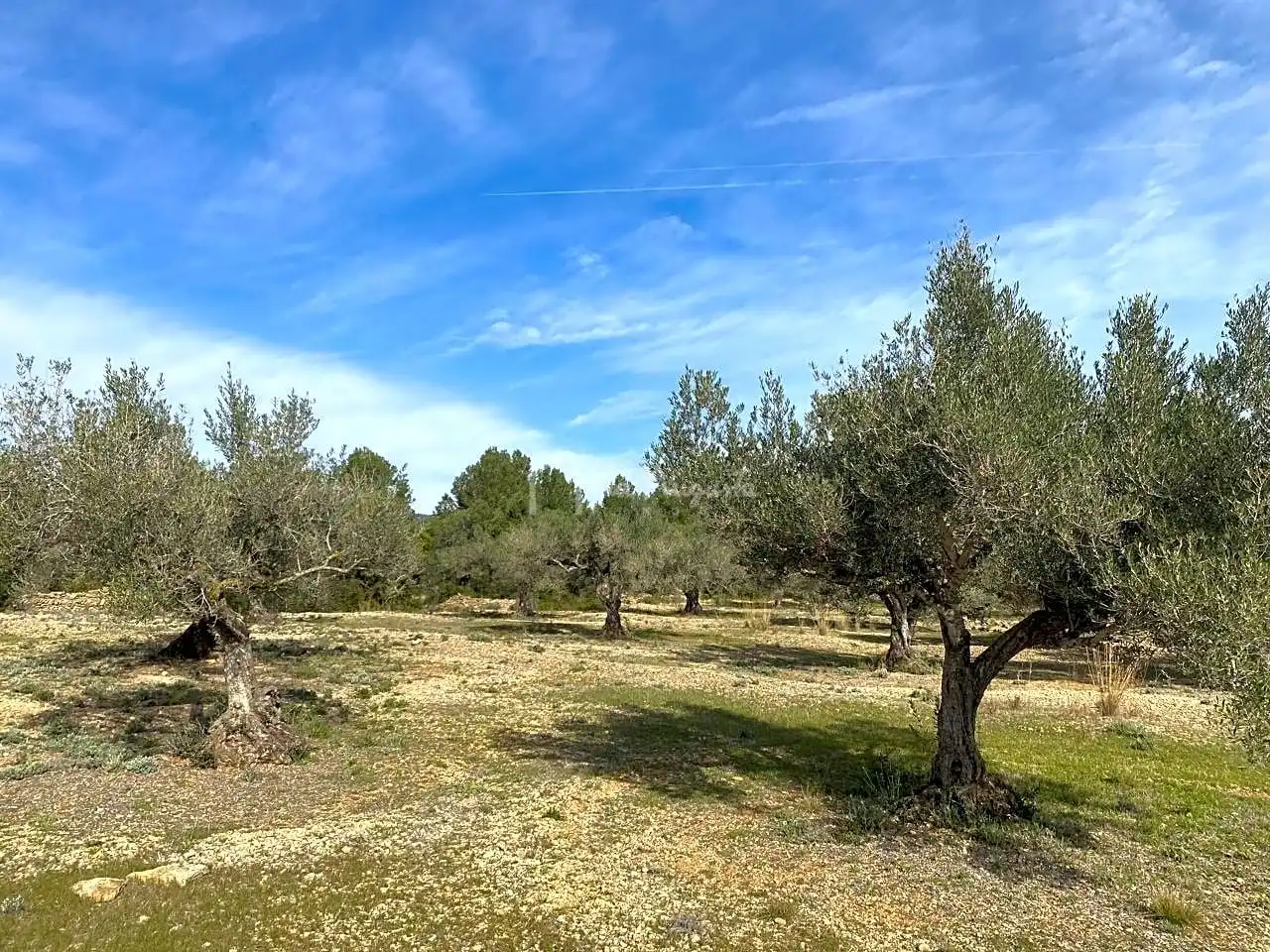 Terreno rustico in vendita a Planas, imagen 3