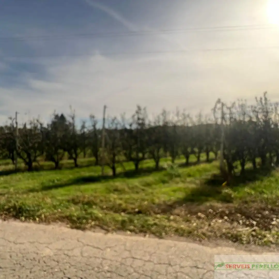 Terrenos y solares en venta en Golmés, imagen 7