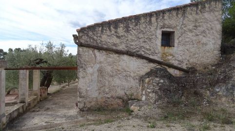 Finca de 94.380 m² en venta en la población de Xerta, plantada de olivos, algarrobos, almendros y zona de pinar, la propiedad está, imatge 4