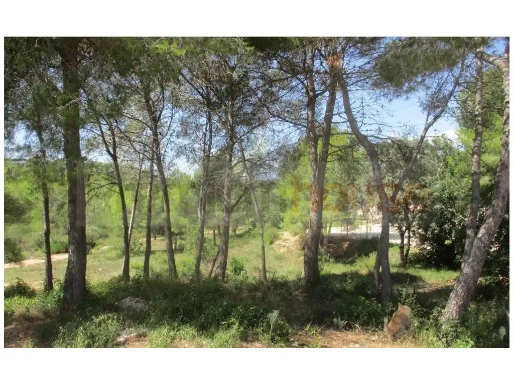 Terreno residencial en venta en Calle de la Llibertat, imagen 7