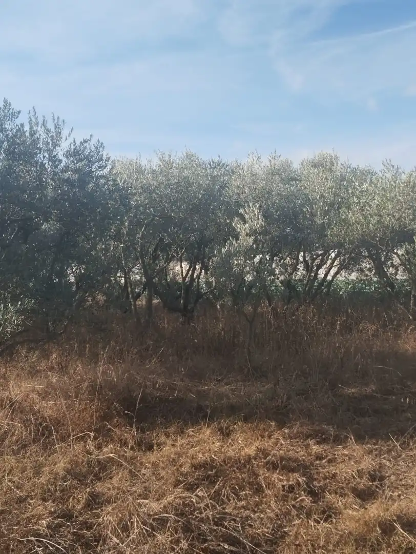 Terreni e lotti in vendita a La Portalada - Varea, imagen 10