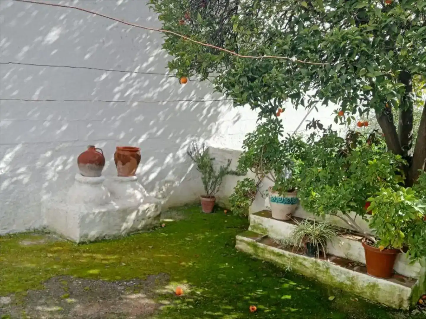 Jardí de Casa adosada en venda en Cala amb Jardí privat i Traster