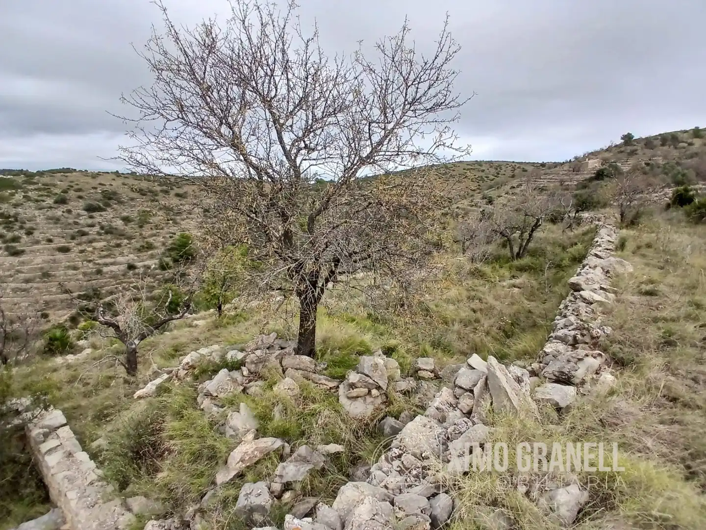 Terreny rústic en venda a La Vall d'Uixó, imagen 3