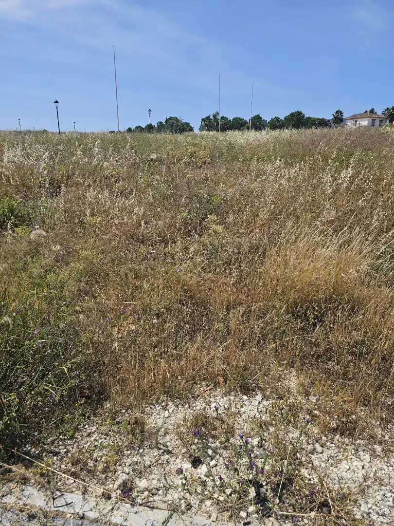 Terreno residenziale in vendita a Coín, imagen 3