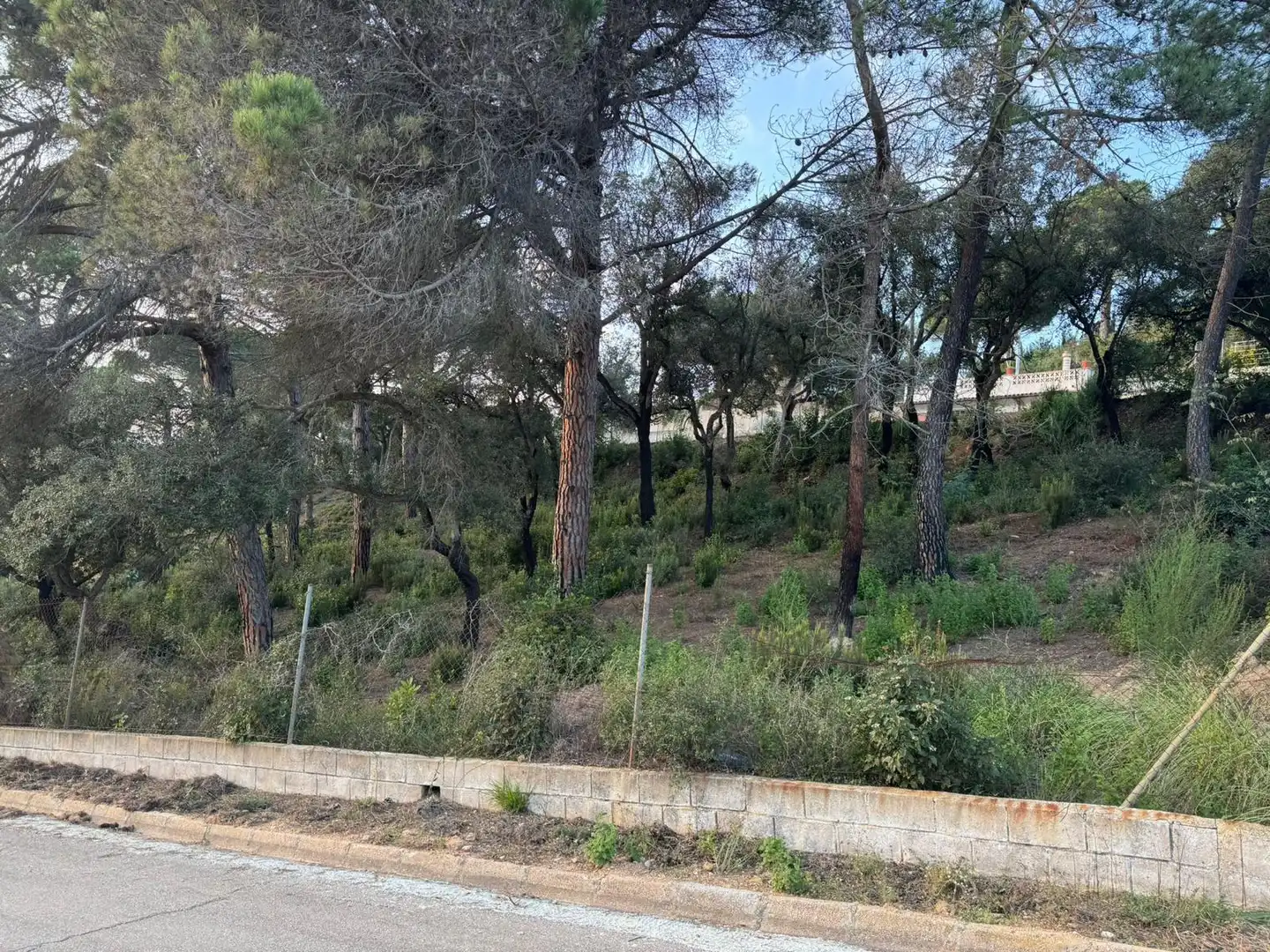 Grundstücke und Bauplätze zum Verkauf in Lloret Residencial - Montlloret, imagen 18