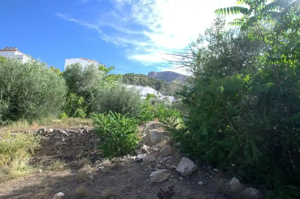 Terreno residencial en venta en Canillas de Aceituno, imagen 7