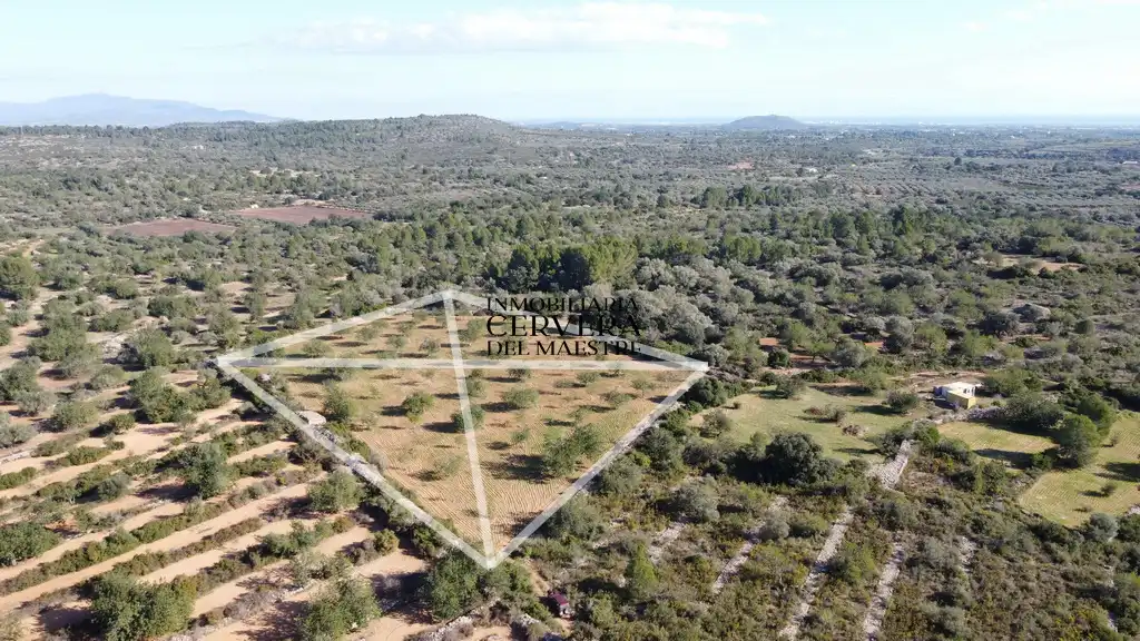 Terreno rustico in vendita a Cervera del Maestre, imagen 5
