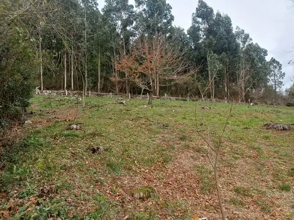 Terreno residenziale in vendita a Rua Pintelos, imagen 3