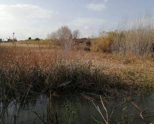 Finca rústica en venda en Turís