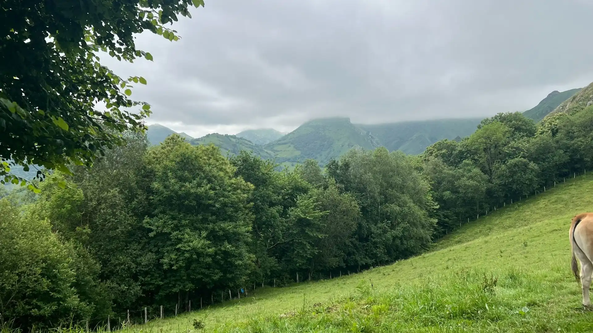 Rural land for sale in Onís, imagen 3