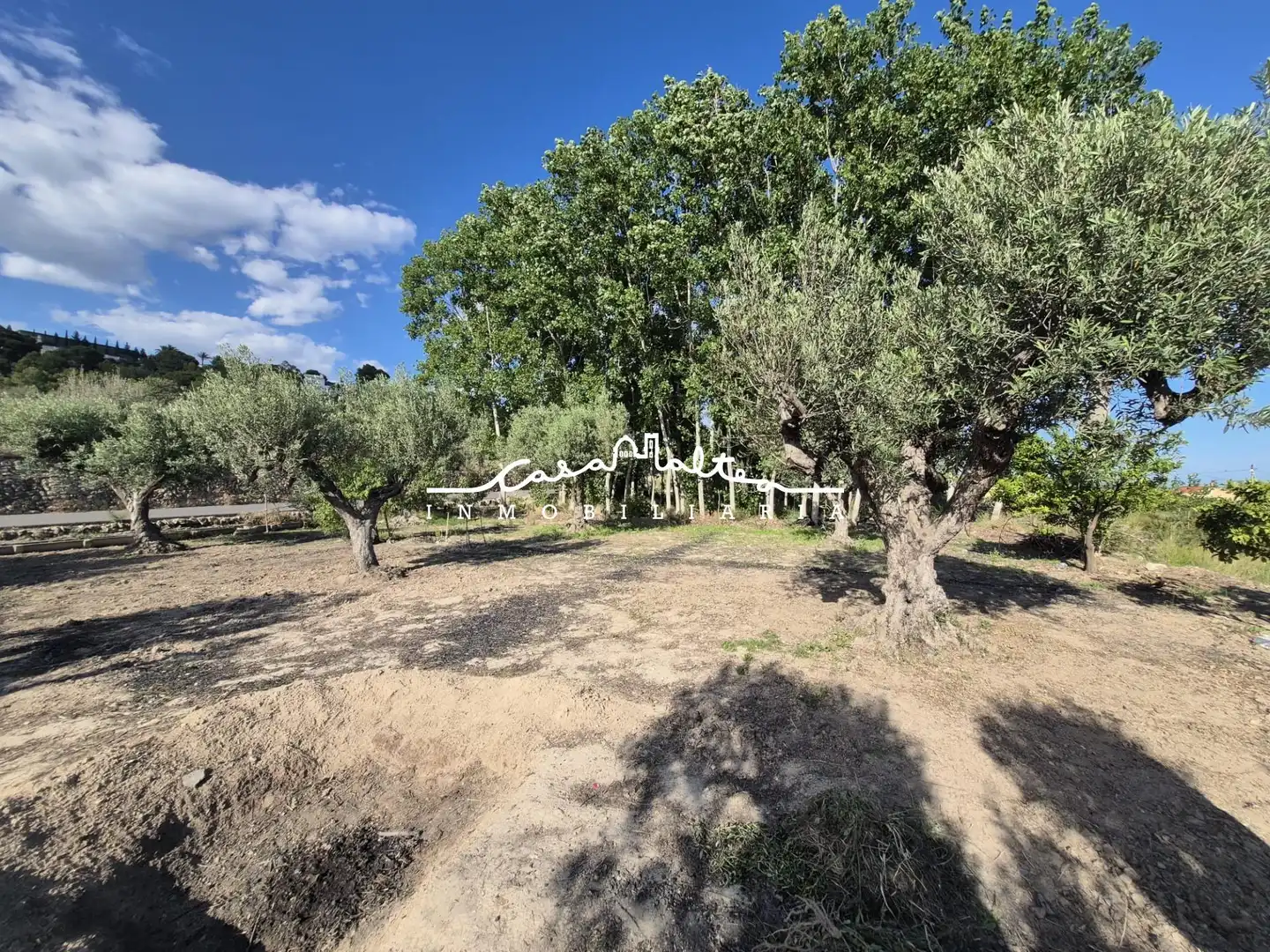 Terreno rustico in vendita a Altea ciudad, imagen 11