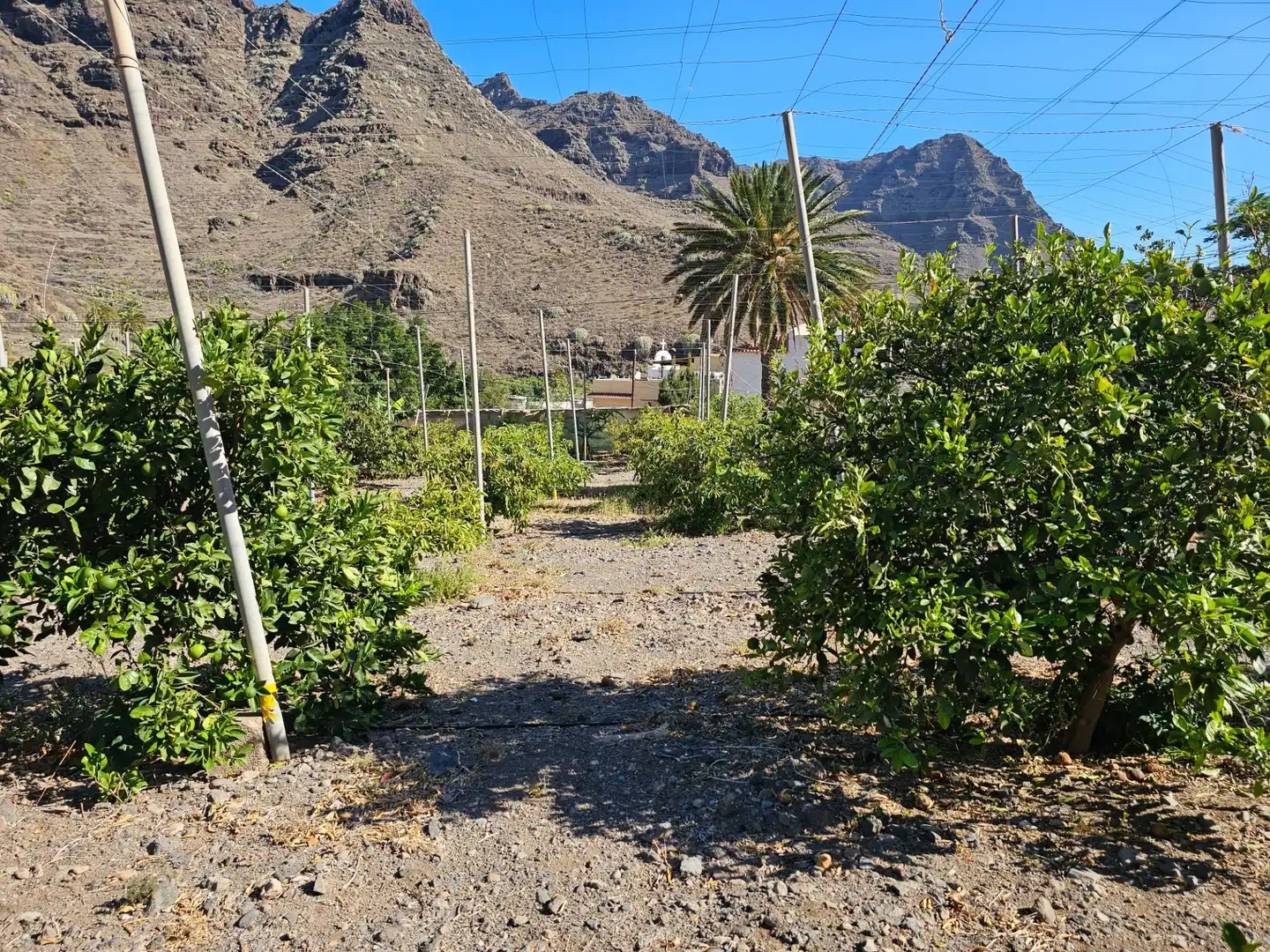 Vista exterior de Finca rústica en venta en La Aldea de San Nicolás  con Jardín privado, Terraza y Trastero