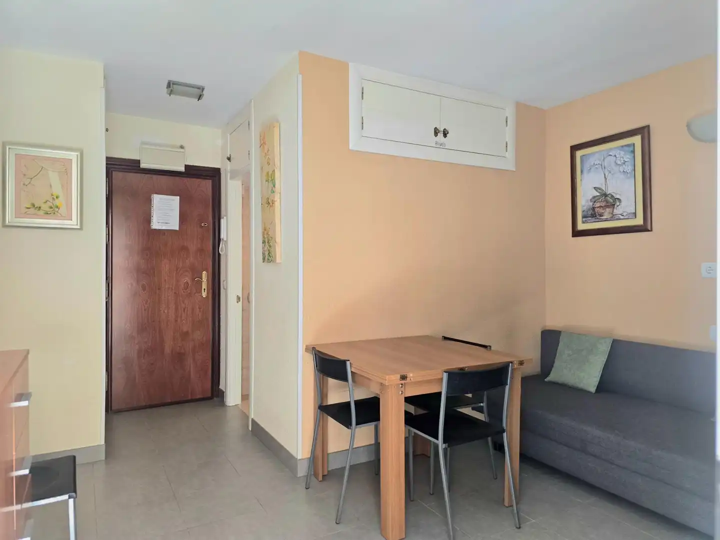 Monolocale con terrazza in vendita a Calle Calle Naciones 4, imagen 15