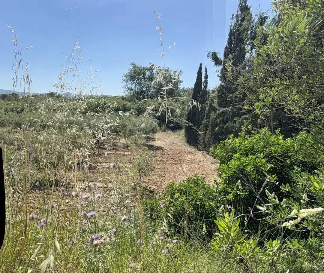 Casa rustica in vendita a L'Arboç, imagen 4