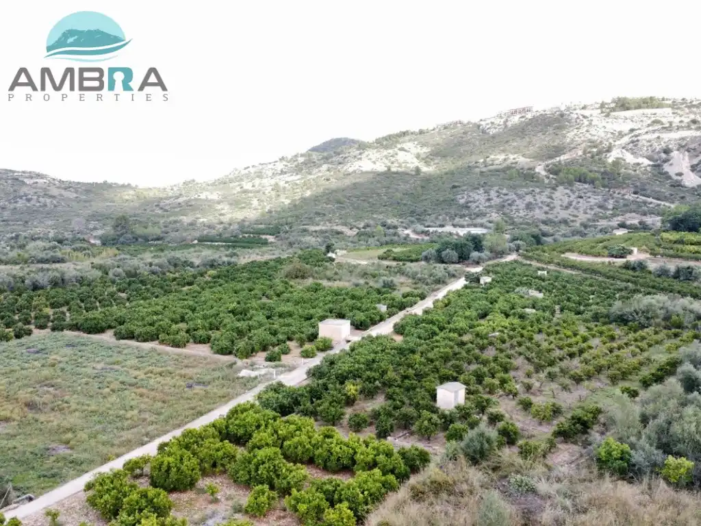 Rural land for sale in Pego, imagen 8