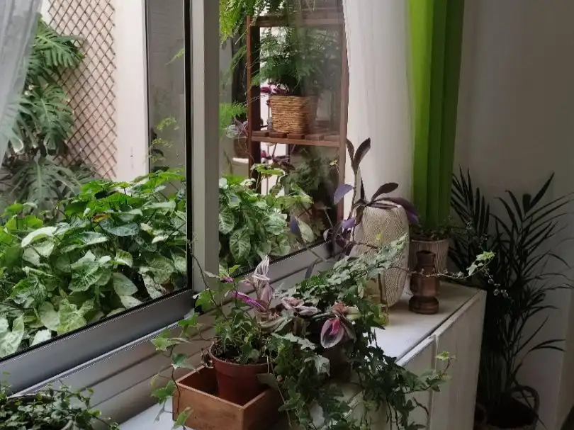 Wohnung zur Miete in Calle Padre Claret, 5, Arenales - Lugo - Avda. Marítima