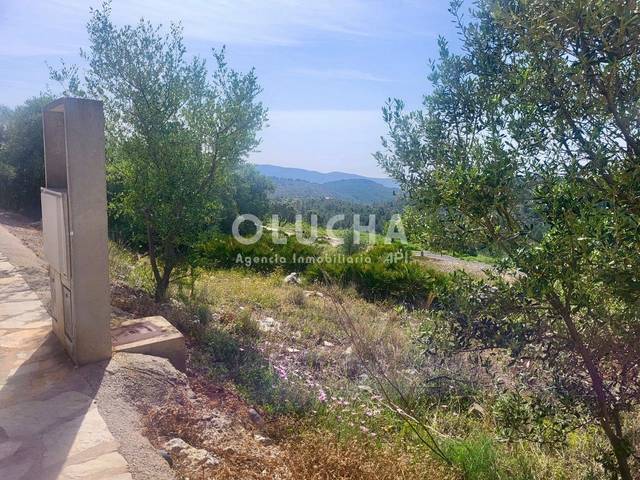 Terreno residencial en Venta en Costur